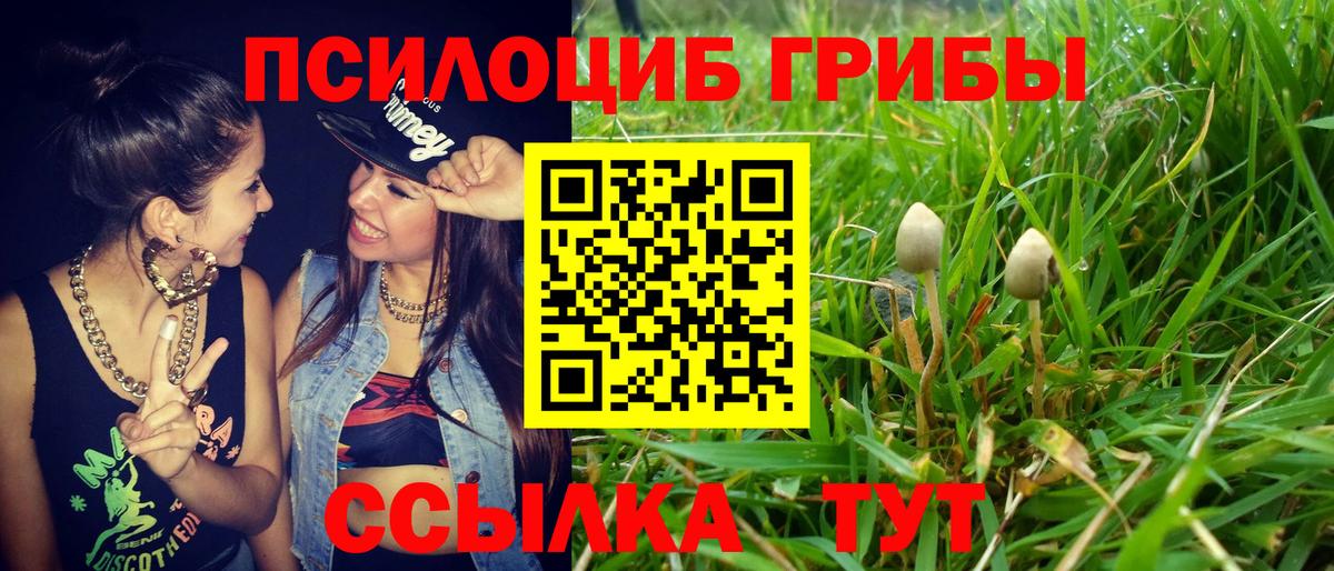 Псилоцибиновые грибы прущие грибы Богородск