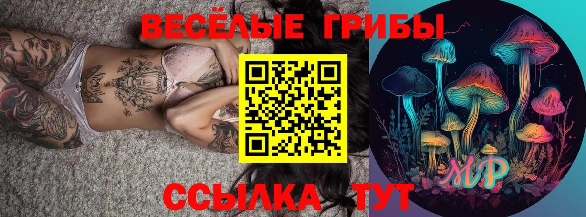 хочу   Псилоцибиновые грибы Psilocybe  Галлюциногенные грибы Magic Shrooms  Вход с VPN  Богородск 