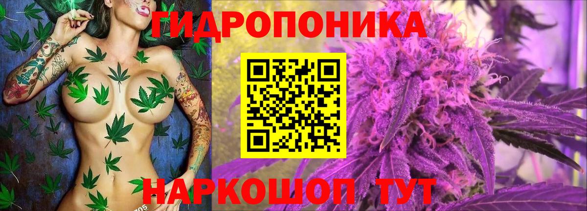 МАРИХУАНА семена Богородск